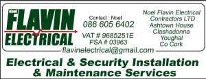 Noel Flavin Electrical Contractors